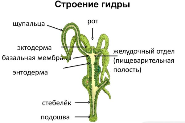 Даркмаркет